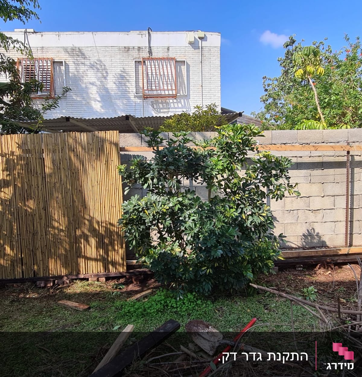 גדר עץ במבוק ליד קיר בטון בגינה